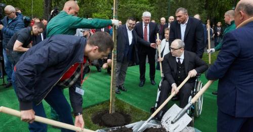 Вместо уничтоженных нацистами. В Харькове появилась новая дубовая аллея (фото)