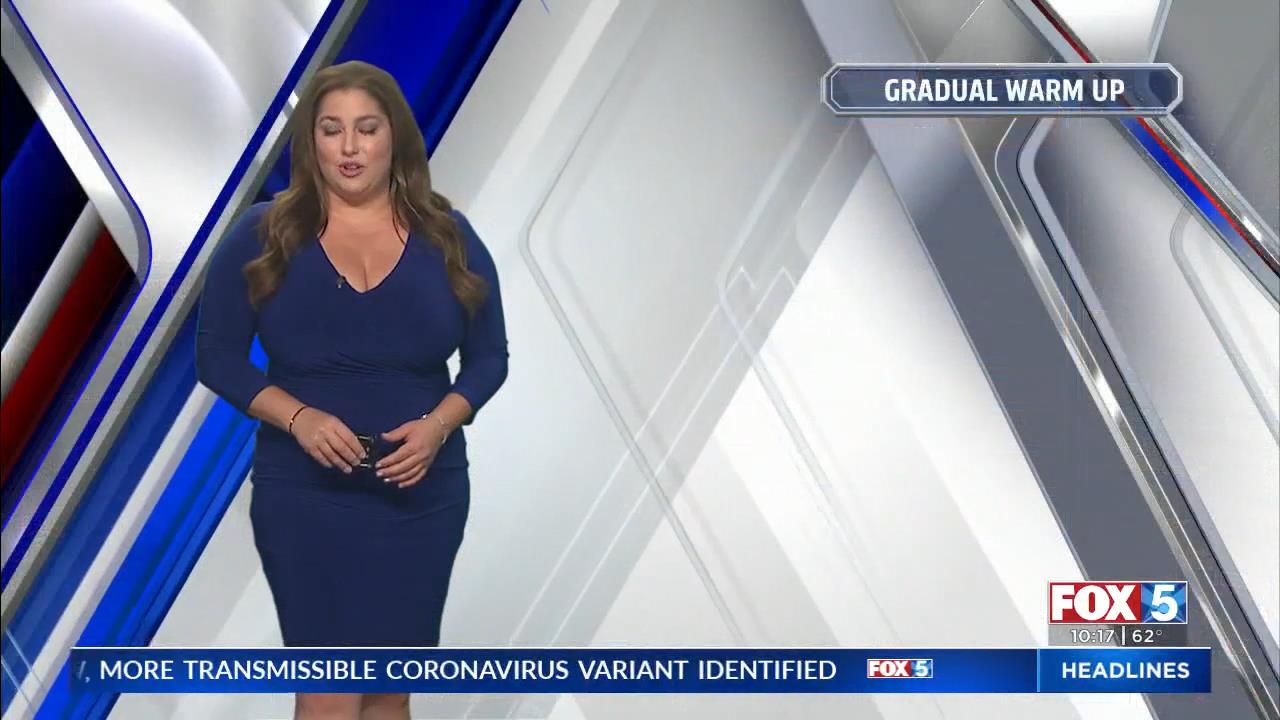05.30 - 06.00.00 - FOX 5 News at 10 00pm  ᴺᵉʷ. Local news, weather, t....ts_snapshot_19.32_[2021.05.