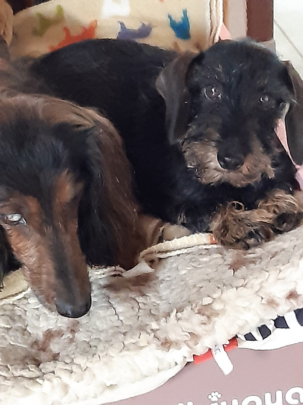 [Image: 20230312-145741.jpg]