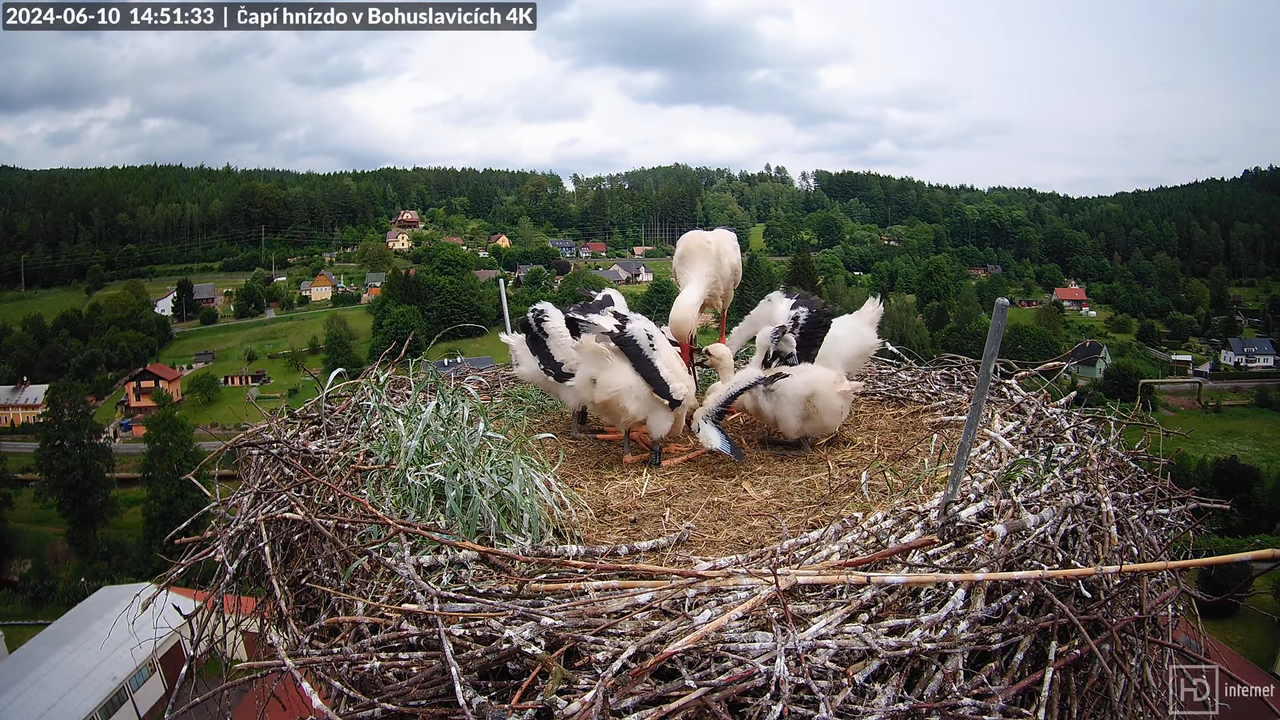 Tiešraidē no uzņēmuma KARA stārķa skursteņa Bohuslavicē pie Trutnovas 10-36-57 screenshot