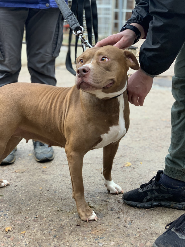 230B9CCE-00DE-4121-86A5-92203F5C8F55