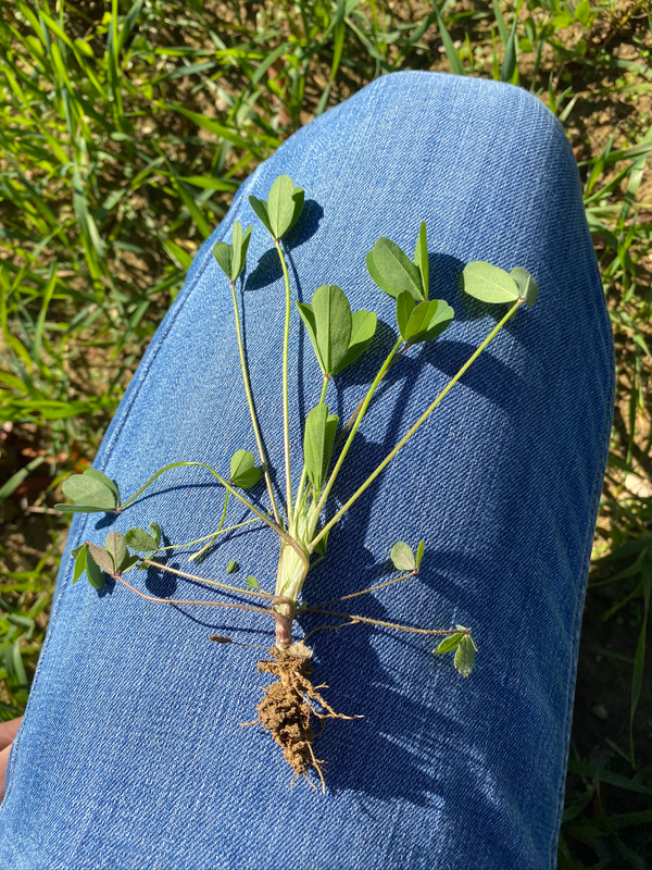 16C0B3F1-3521-4EA9-9AD0-A6A6158DEFAD