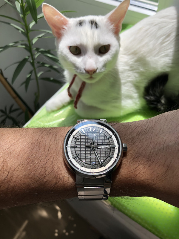 F62312C1-3B54-4176-BDBF-99E93E7B6998