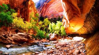 Thơ hoạ Nguyễn Thành Sáng & Tam Muội (1378) Hiking-in-the-narrow-Canyon-of-Virgin-River-in-Zion-National-Par