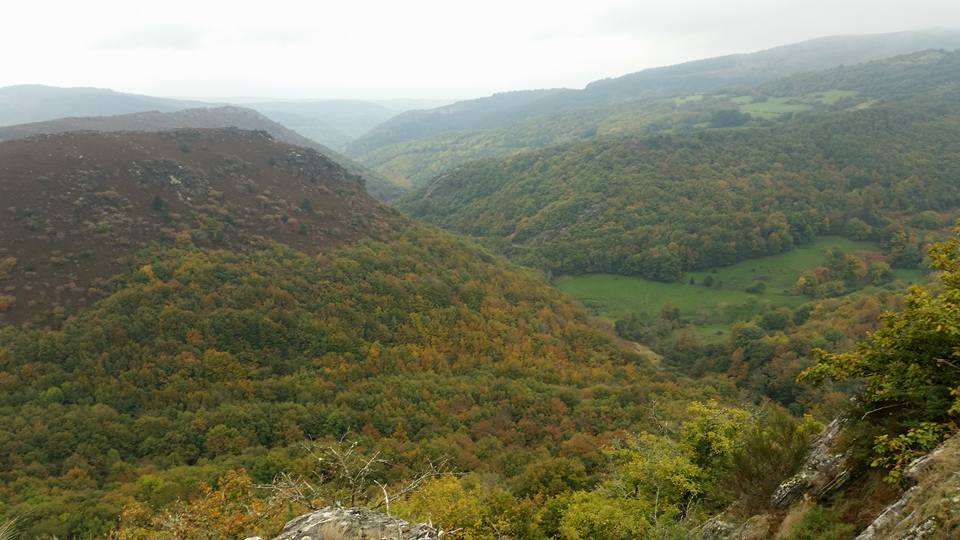 12141514_615320268607847_3220398048771490201_n