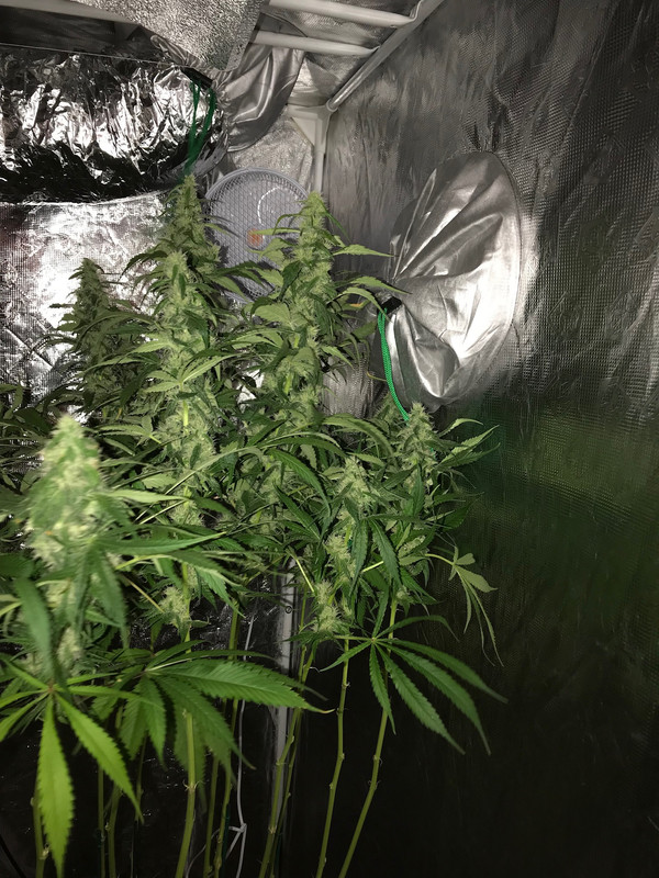 96032877-2DFA-408F-BA15-022D594896E7