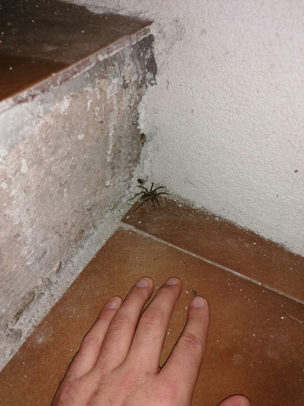 IMG-20220928-005819.jpg