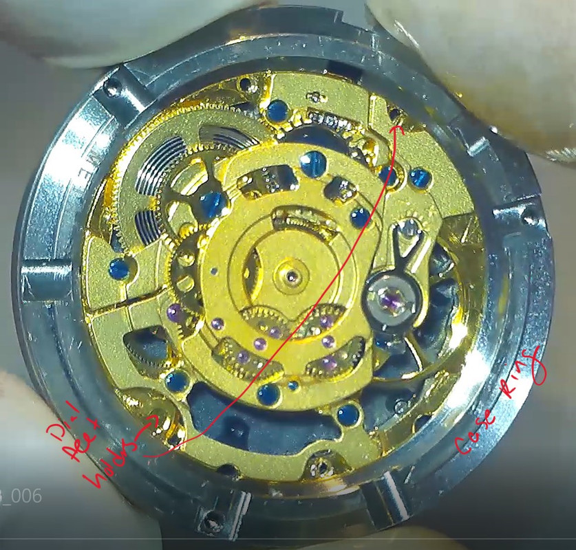 VSF Movement Ring