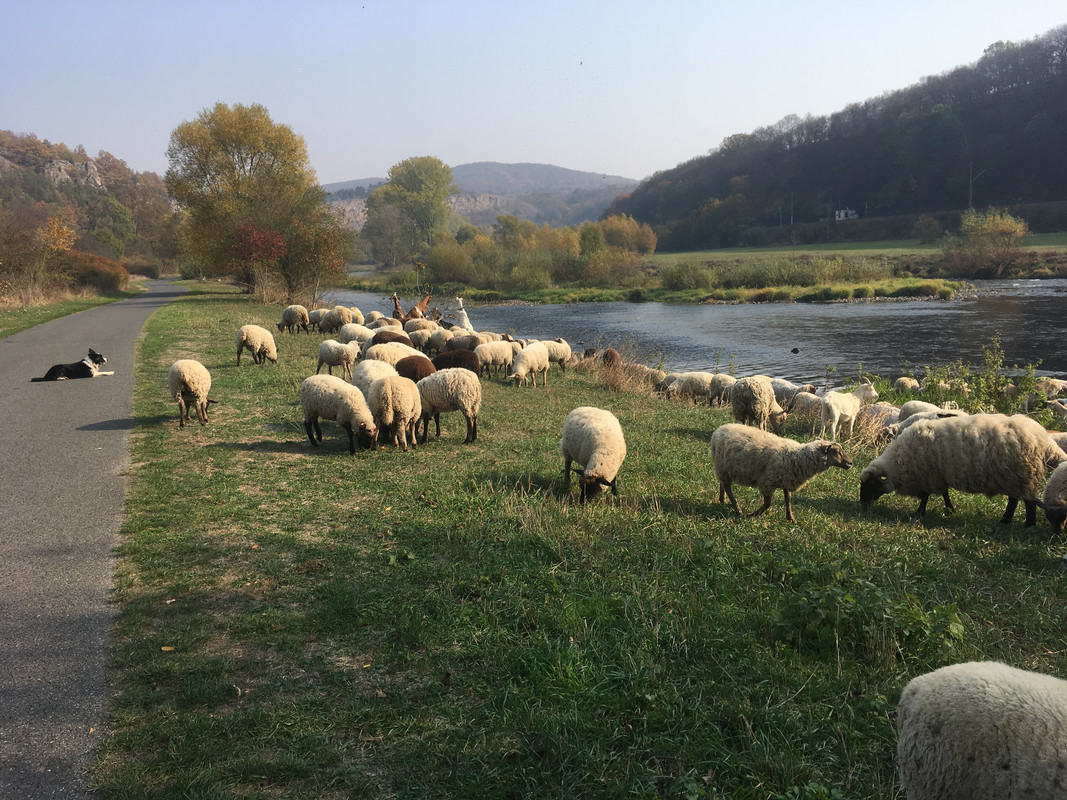 559238E1-BD60-443E-96DB-93F63B0C9F95