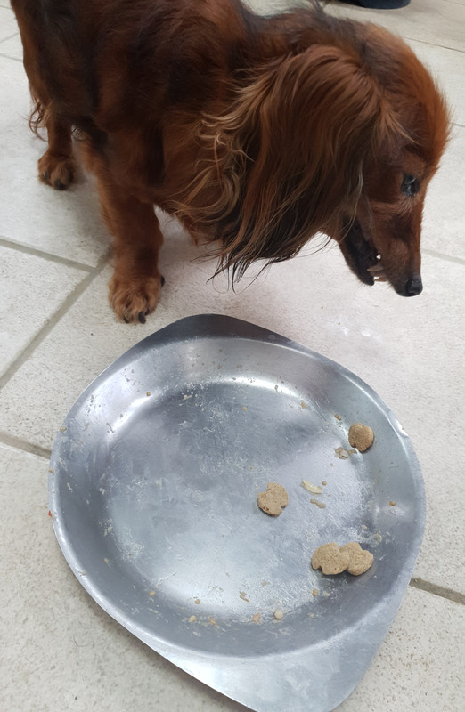 [Image: 20220112-134130.jpg]