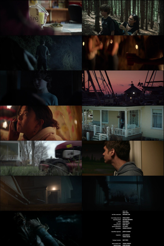 The Wretched (2019) 1080p | 720p | 480p BluRay [Hindi (हिन्दी) + English] DD5.1 ESub
