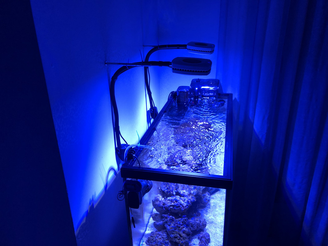 900961F2-C047-4D1E-8131-A5105540A431