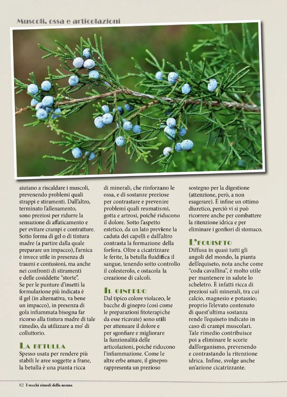 I Vecchi Rimedi della Nonna Fe Mar 2026 (5)