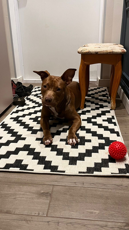 F586B222-4B13-42A5-8044-0AF3071AC58B