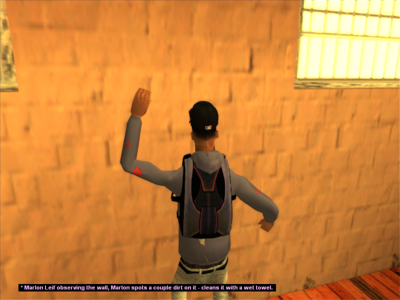 SS41.png