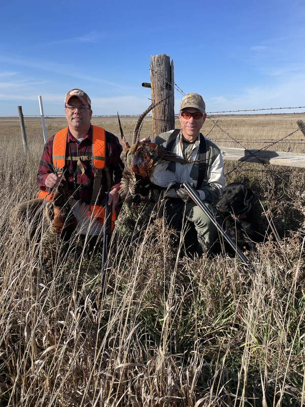 feSdpE5BTWeGiXhQxQkWtw