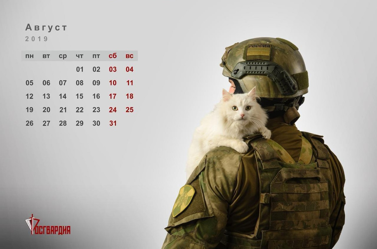 04-2