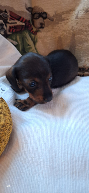 [Image: 20250518-204949.jpg]