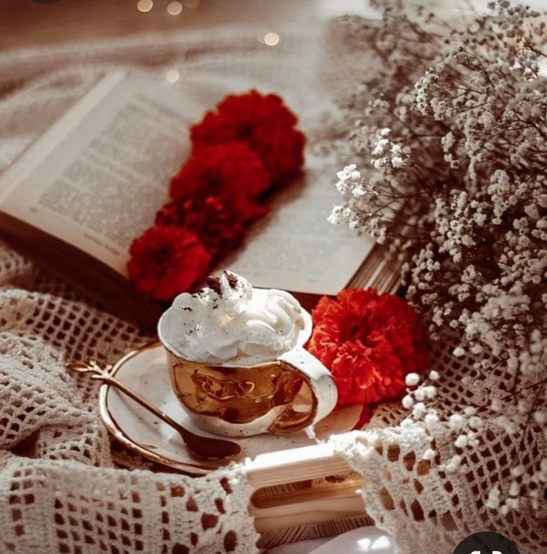 Screenshot_20240424_225445_Pinterest