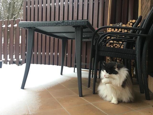 FBC7-ADAB-D874-420-C-978-A-578-EB20-A0-E