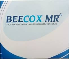 Beecox Mr 10S