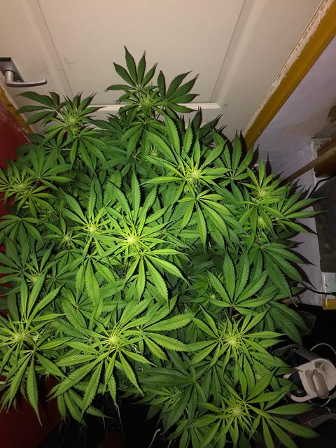 9B0535CE-CA3C-43A9-849D-54FAEDF38B7B