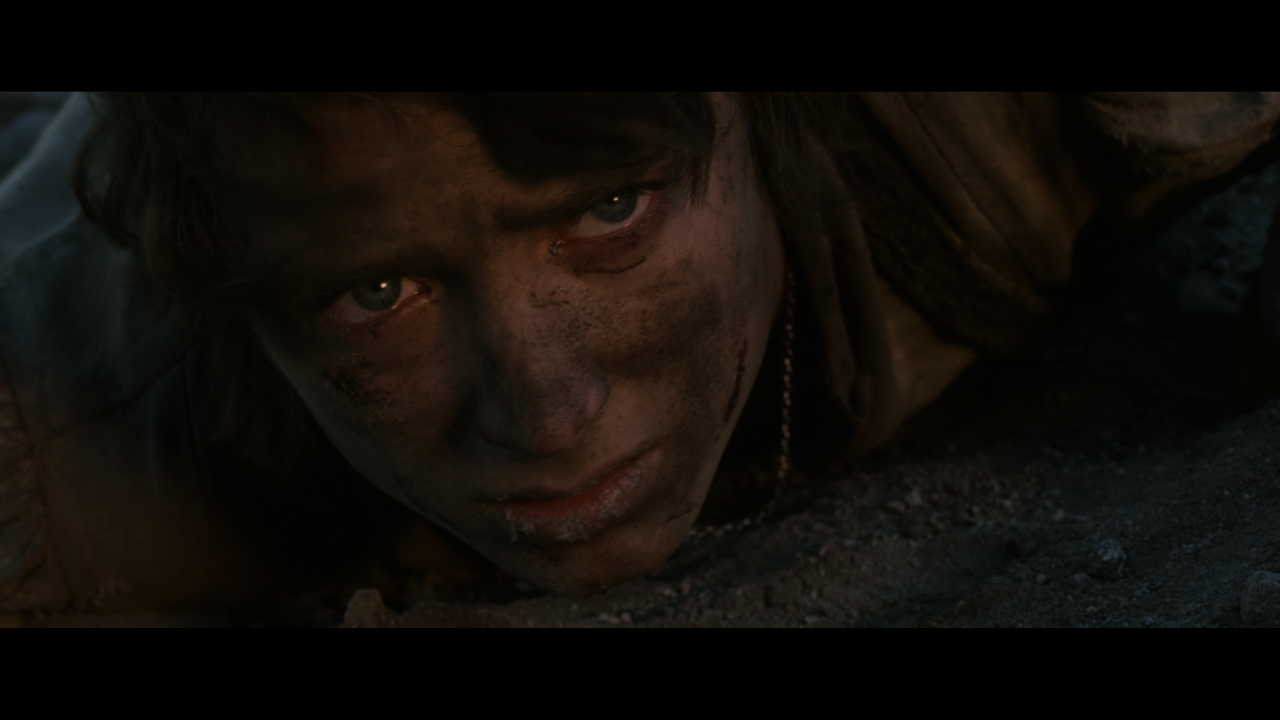 The Lord of the Rings- The Return of the King (EXT.) PT. 2.mkv_snapshot_01.14.28_[2020.12.19_22.02.2