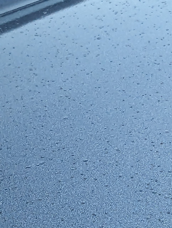 PXL-20250514-161610800.jpg