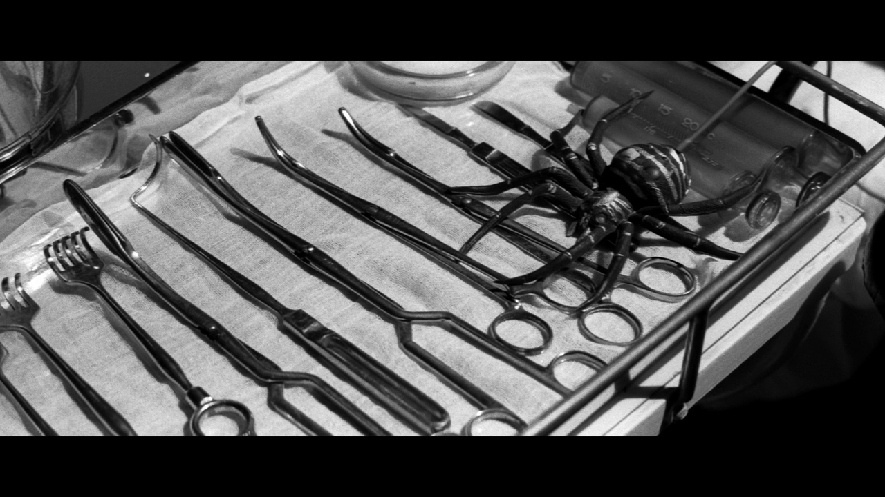 vlcsnap-2025-07-13-00h56m29s938