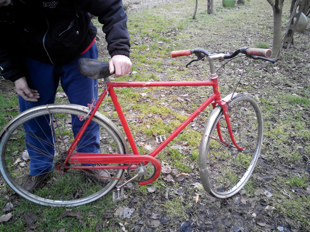 IMG_20150207_112448[1]