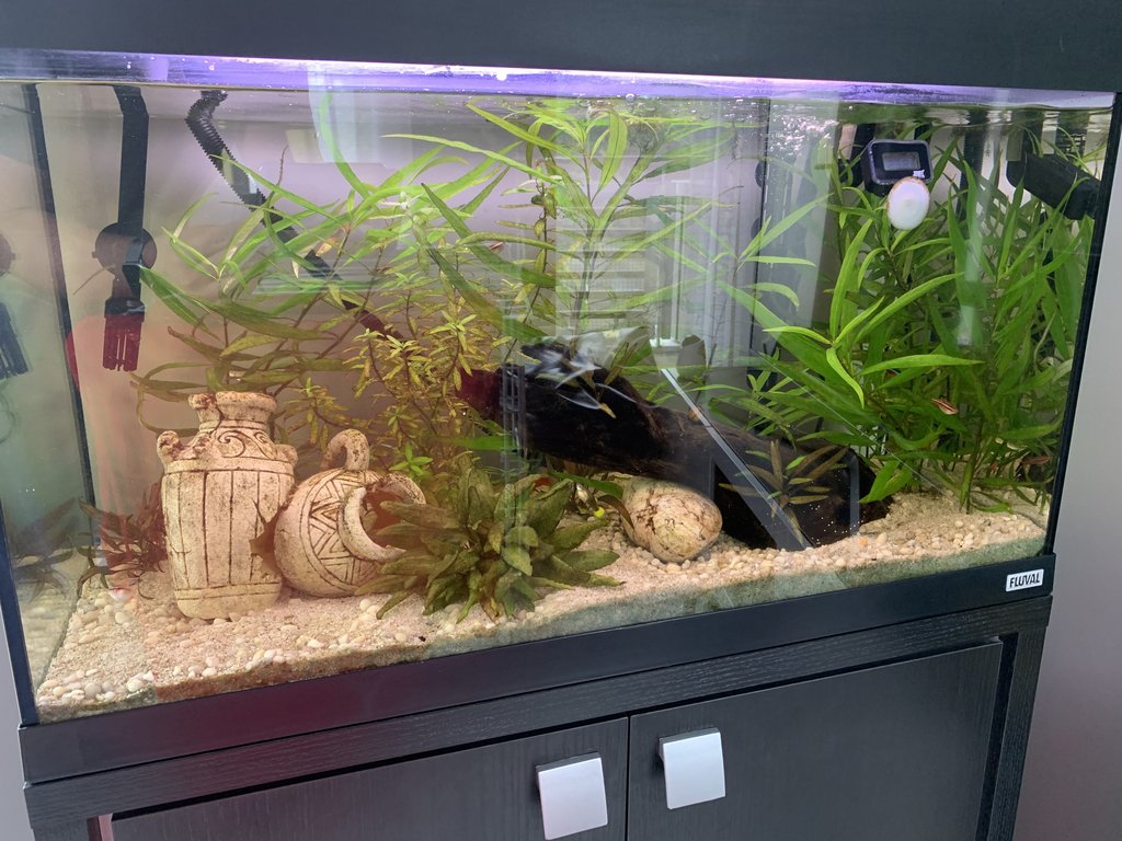 FA0F742E-66AD-45F0-8BE2-3D12B05F2203