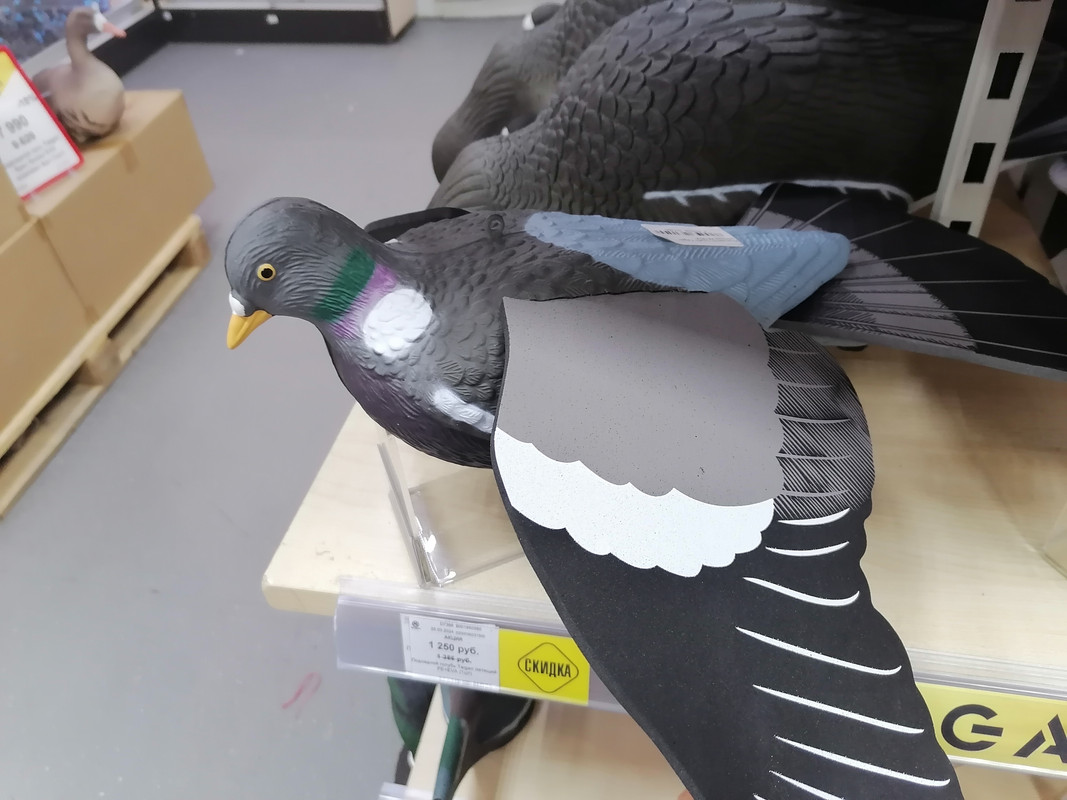 IMG_20240402_115230[1]