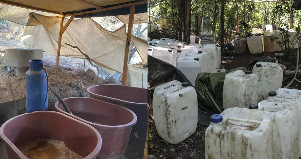 Narcolaboratorio disfrazado como “granja de puercos” es descubierto en Puebla