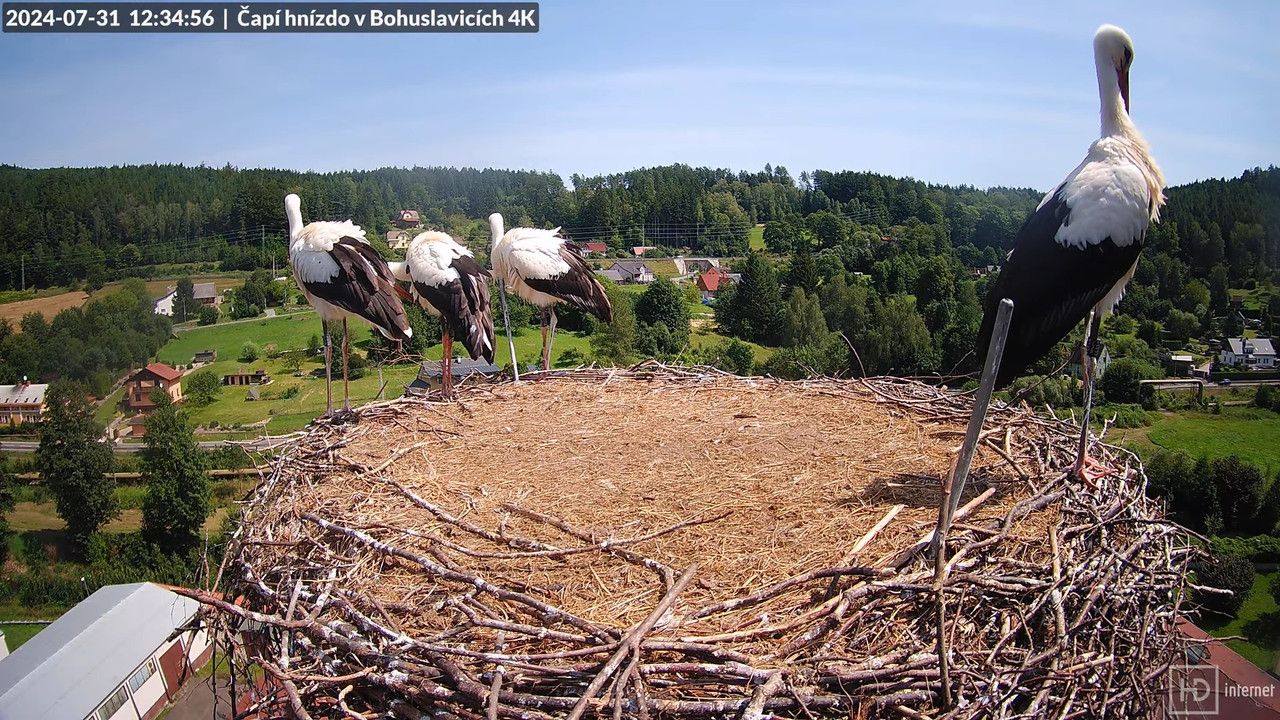 Tiešraidē no uzņēmuma KARA stārķa skursteņa Bohuslavicē pie Trutnovas 13-13-53 screenshot