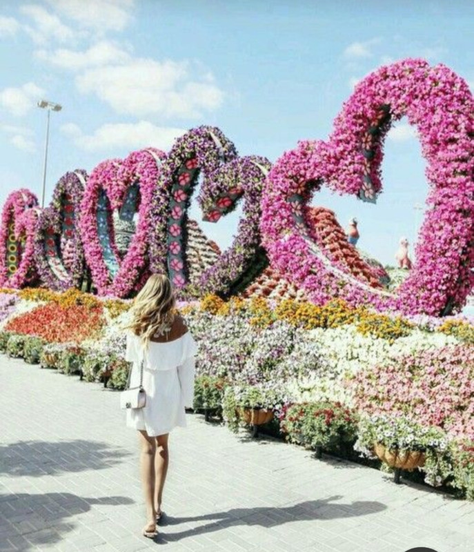 Screenshot_20230327_223300_Pinterest