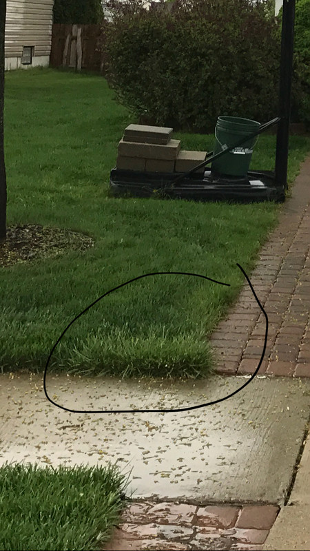 A5683259-8D4D-41B4-AE46-260DE4D40663