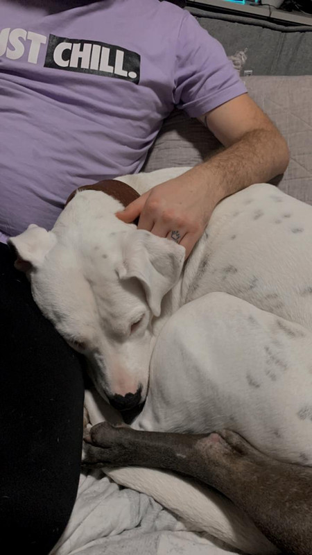 0DAEB494-BD37-45F3-AFF4-F222917C6CD3