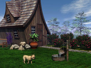 Rieke77-My-little-garden