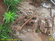 IMG-5443