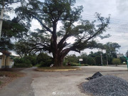 69af9baegy1i62sq1my40j21400u012r