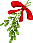 Christmasswishoffairydnmistole