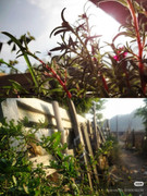 photo 1 2026 01 16 22 06 21