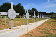 DSC-0011
