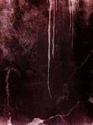 Tumblr l 502360412816749