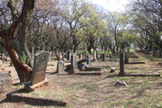 IMG-0841