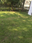 2020-09-16 09.41.20 HDR