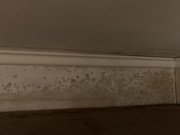 512F914B-163E-41B7-A152-1C586D5826AB