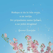 FB_IMG_1684911236823