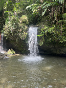 IMG-8480