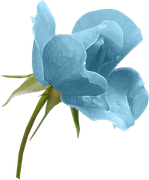 GlamourGirl_MM_Element (135)